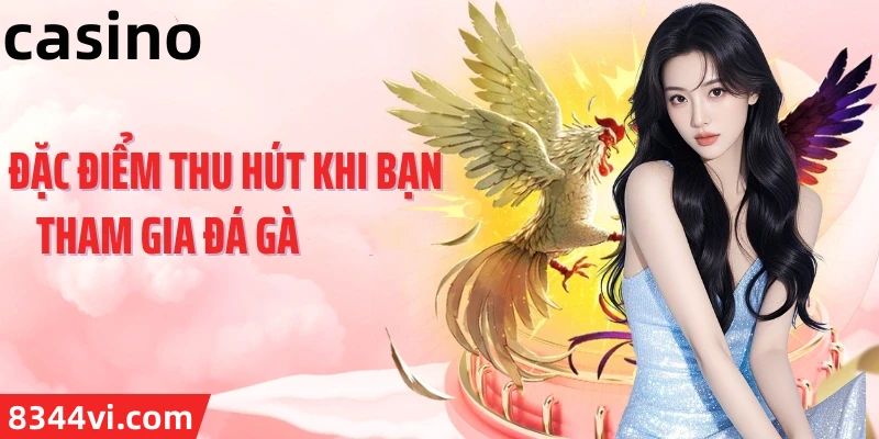 Hình ảnh quảng cáo của ko66 hiển thị nền tảng và các lợi ích